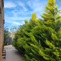 رهن و اجاره واحد ۲۵۰ متری صفر  امام جمعه