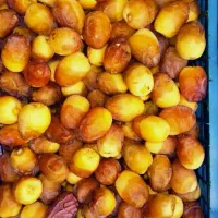 فروش-باغ-رامهرمز