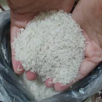 برنج طارم محلی به شرط ممتاز