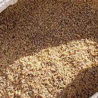 پرخور جو