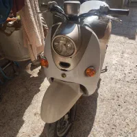 پاکشتی وینو
