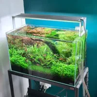 اکواریم با تمام وسایل