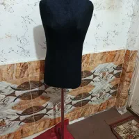 مایکن سوزن تنخور نونو در حمیدیه