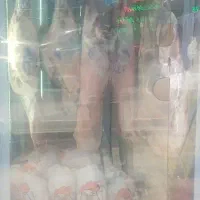 خانوم با روابط عمومی بالا )شاگرد قصابی (