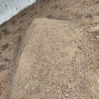 در تناژ بار درختان مرکبات تاثیر بسیار زیادی دارد|گل و گیاه طبیعی|نکا, |دیوار