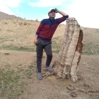 فروش فوری ( زمین کشاورزی)