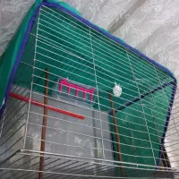 قفس پرنده|لوازم جانبی حیوانات|اهواز, مجاهد|دیوار