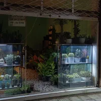 استخدام فروشنده خانوم برای گلفروشی