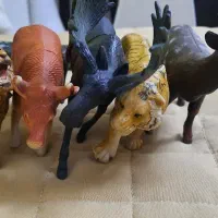 حیوون|اسباببازی|مشهد, آپارتمان های مرتفع|دیوار