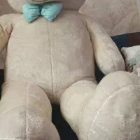 خرس عروسکی ژینوس