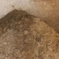 کود حیوانی|خدمات باغبانی و درختکاری|کردکوی, |دیوار