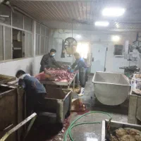 استخدام نیرو مرد با جای خواب