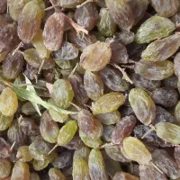 سایه خشک و شیره به شرط تست|خوردنی و آشامیدنی|زند, |دیوار