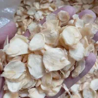 اسلایس سیر درجه یک سورت شده