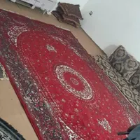 اجاره روزانه/هفتگی/  اپارتمان مرکز شهر تک واحدی|اجارهٔ کوتاه‌مدت آپارتمان و سوئیت|بندرعباس, |دیوار