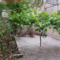 آپارتمان ۸۰ متری نارمک