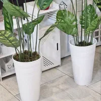 شلف گلدان گیاه درختچه مصنوعی دکوری ریسه آویز شمشاد|صنایع دستی و سایر لوازم تزئینی|تبریز, |دیوار