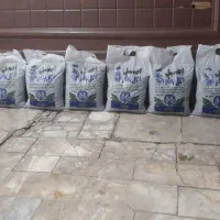 خاک گلدان|گل و گیاه طبیعی|رباط‌کریم, نوده|دیوار