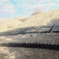 کارگر در نهالستان