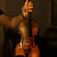 ویولن فونیکس MVZ301 E 4/4 (پایین ترین قیمت بازار)|ویولن|همدان, |دیوار