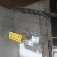 دوعددقفس