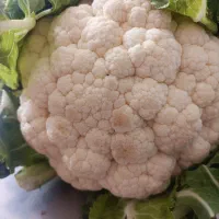 نیازمند شاگرد میوه بازنشسته آقا یا خانم خانه دار