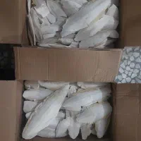 کف دریا ممتاز صادراتی (منبع خالص طبیعی کلسیم)