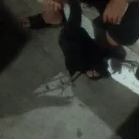 مرغ لاری افغان