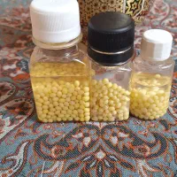 فروش حلزون و خاویار و وسایل نگهداری  حلزون