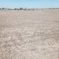اجاره زمین کشاورزی