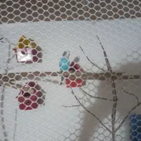 مرغ عشق و فنچ حراج