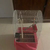 سه عددقفس پرنده