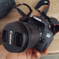 دوربین عکاسی|دوربین عکاسی و فیلمبرداری|ری, شهادت|دیوار