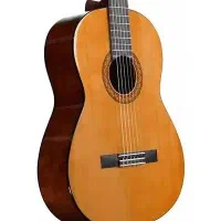 آموزش گیتار کلاسیک و گیتار الکتریک از صفر تا صد|خدمات آموزشی|یزد, |دیوار