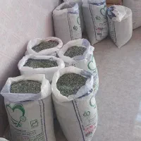 سنگ فیروزه|جواهرات|نیشابور, شهرک فرهنگیان|دیوار