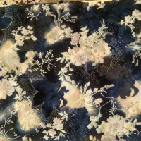 چادر ژرژت ومعمولی|لباس|نیشابور, مازول|دیوار