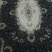 فرش ۶متری تمیز