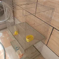 قفس قیمت مناسب درحد نو