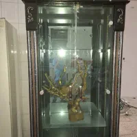 ویترین مشکی