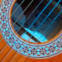 گیتار نو بدون خط و خش و استفاده نشده|گیتار، بیس، امپلیفایر|شیراز, سلطان آباد|دیوار