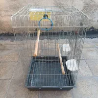 قفس عروس هلندی