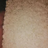 برنج هاشمی اصیل استان گیلان|خوردنی و آشامیدنی|یزد, |دیوار