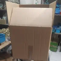 کارتن نو نو نه تعداد فروشی