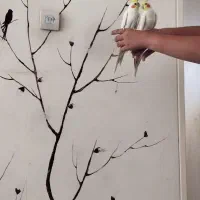 یک جفت عروس هلندی سخنگو