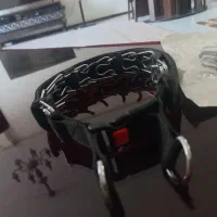 قلاده پرانگ کالر|لوازم جانبی حیوانات|تهران, پردیسان|دیوار