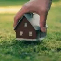زمین 365زیتون