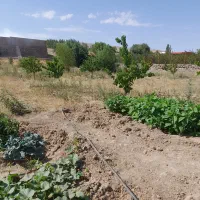 باغ جاده ورزقان|فروش دفتر صنعتی، کشاورزی، تجاری|خواجه, |دیوار