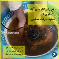 حجامت زالو سم زدایی شستشو گوش لاغری|خدمات آرایشگری و زیبایی|مشهد, شهید آوینی|دیوار