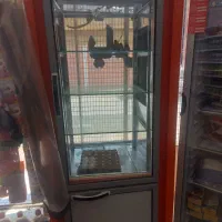 یخچال مغازه|کافی‌شاپ و رستوران|قم, ولیعصر|دیوار