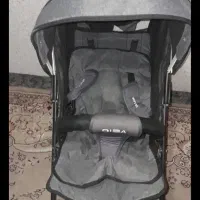 کالسکه عصایی دلیجان